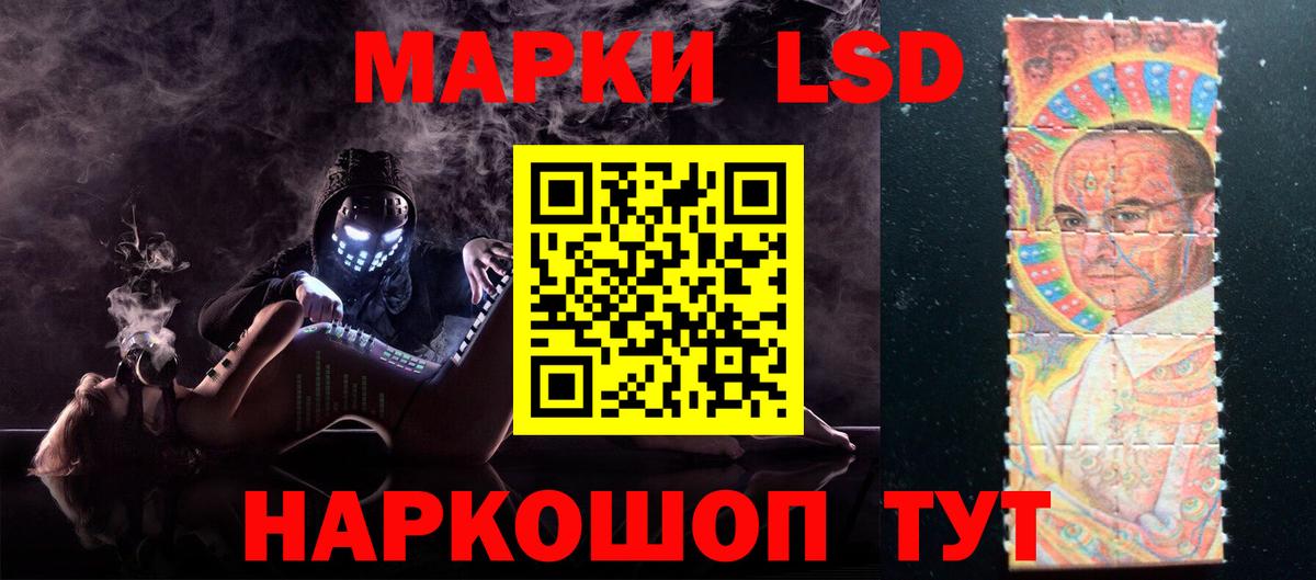 Галлюциногенные грибы Чернушка